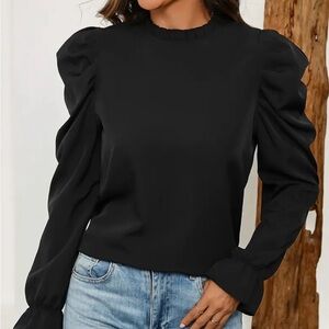 NWOT Pretty Puff Sleeve Blouse
Holiday Blouse
Party Top